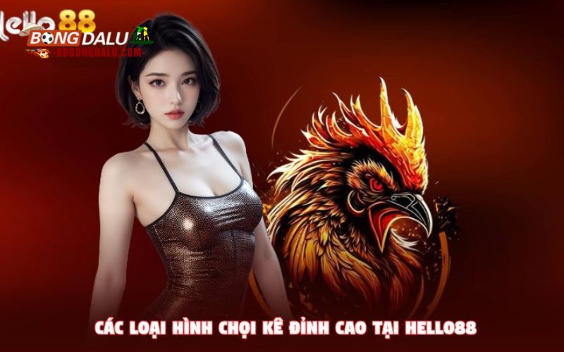 Những thể loại đá gà Hello88 làm mưa làm gió