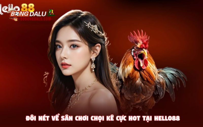 Vì sao đá gà Hello88 trở thành điểm đến số một?