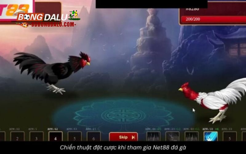 Chiến thuật cược tại Net88 đá gà để đạt lợi nhuận cao
