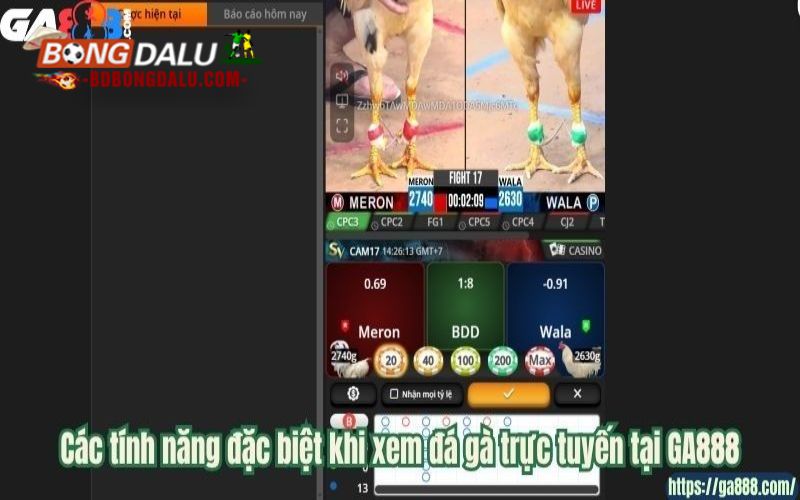 Các tính năng đặc biệt khi xem đá gà trực tuyến tại GA888